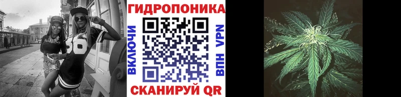 МАРИХУАНА White Widow  Пролетарск 